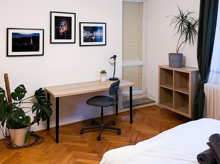 Rodinny Byt Pro 4 Na Brno-Stred Exteriör bild